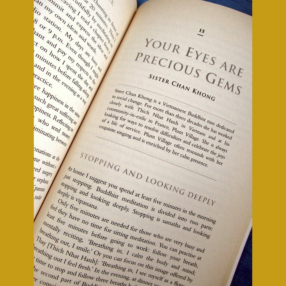 Book: Walking on Lotus Flowers, by Martine Batcheleor - Picture 8 of 14
